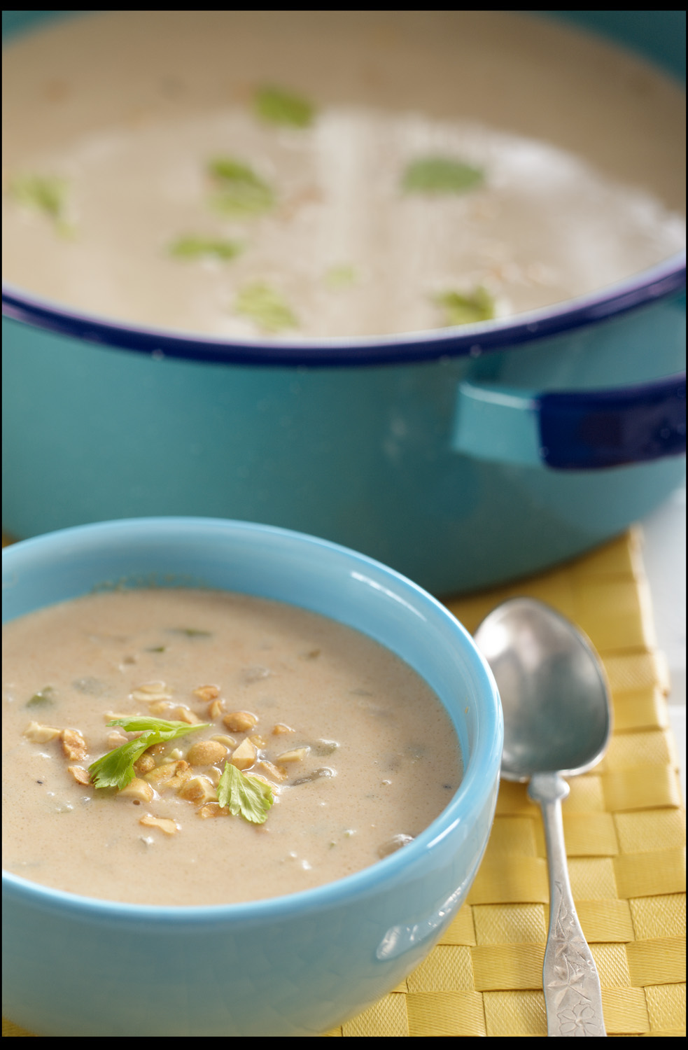 Williamsburg Peanut Soup Easy Kitchen