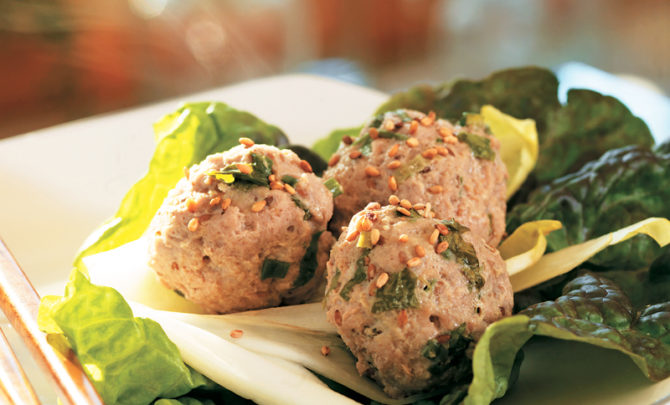 low-carb-sesame-turkey-meatball-healthiest-recipe-earth-spry