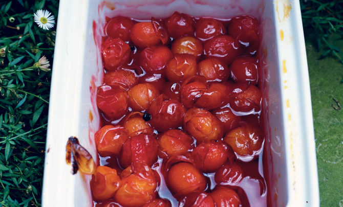 Poached-Plums-Relish.jpg