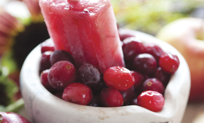 Cranberry-Apple-Popsicles-Relish.jpg