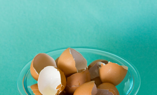 Egg Shells in Bowl