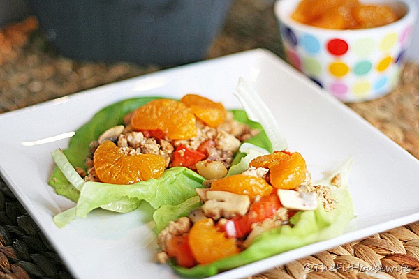 asian-chicken-lettuce-wraps-quick-health-easy-lunch-dinner-spry