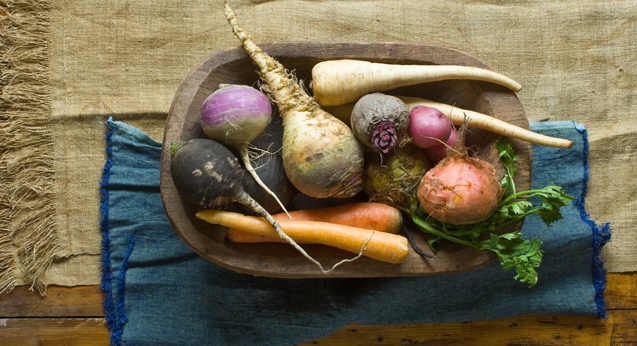 Rutabaga, Carrots, Potatoes, Turnips, Beets and Parsnips Still Life