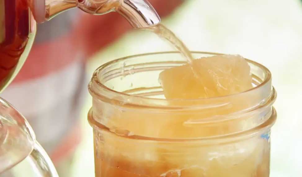 Honey Lemon Ice Cubes Recipe - Easy Kitchen